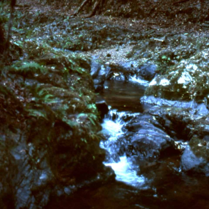 Kurotani river